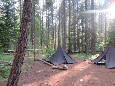 A black pyramid tent in a forest in North Cascades National Park.